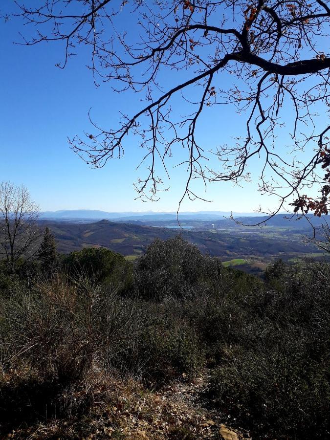 Il Vecchio Frantoio Villa Panicale Eksteriør billede