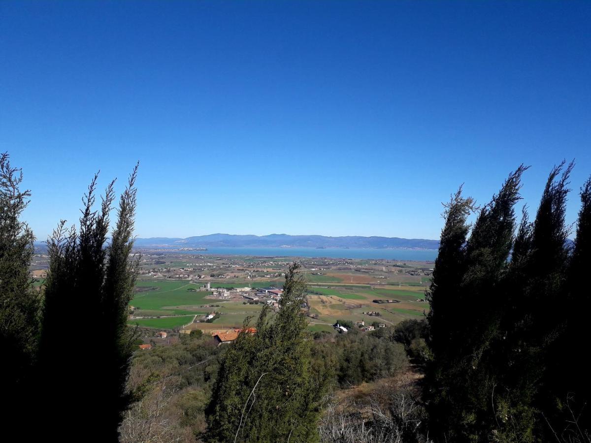 Il Vecchio Frantoio Villa Panicale Eksteriør billede